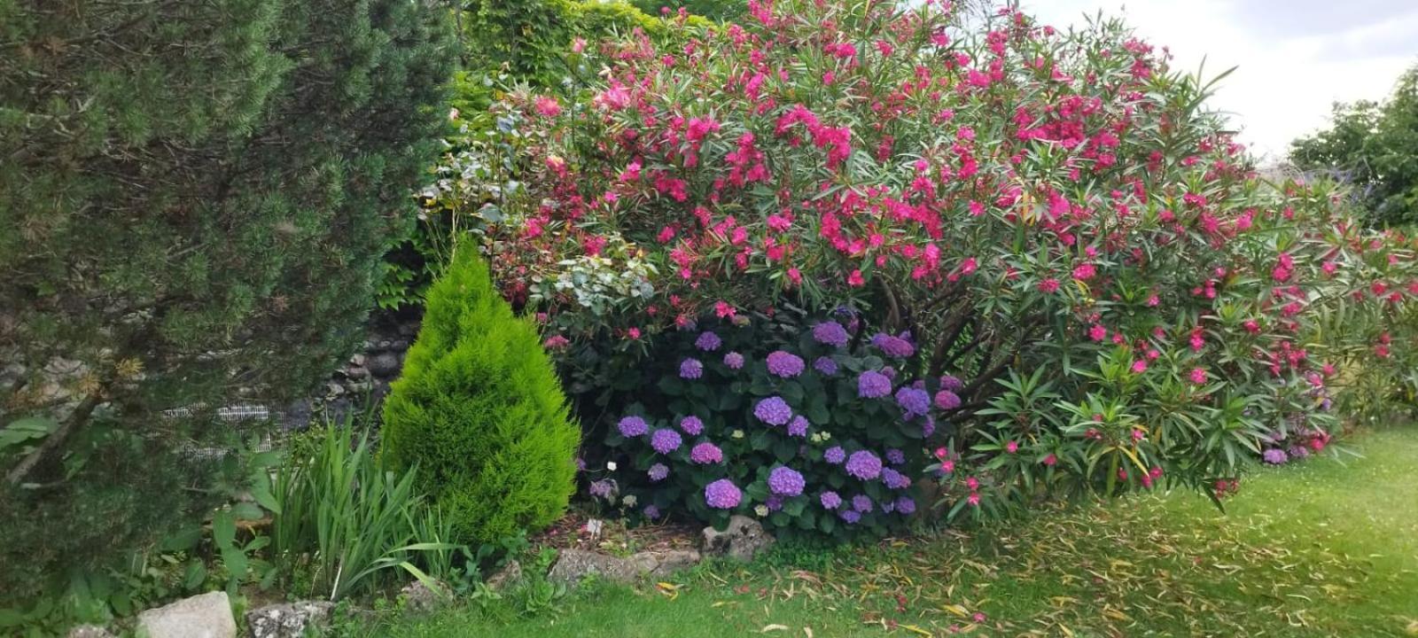 Gite 2 "Le Tilia " Aux Magnolias 3 Etoiles Ομπενά Εξωτερικό φωτογραφία