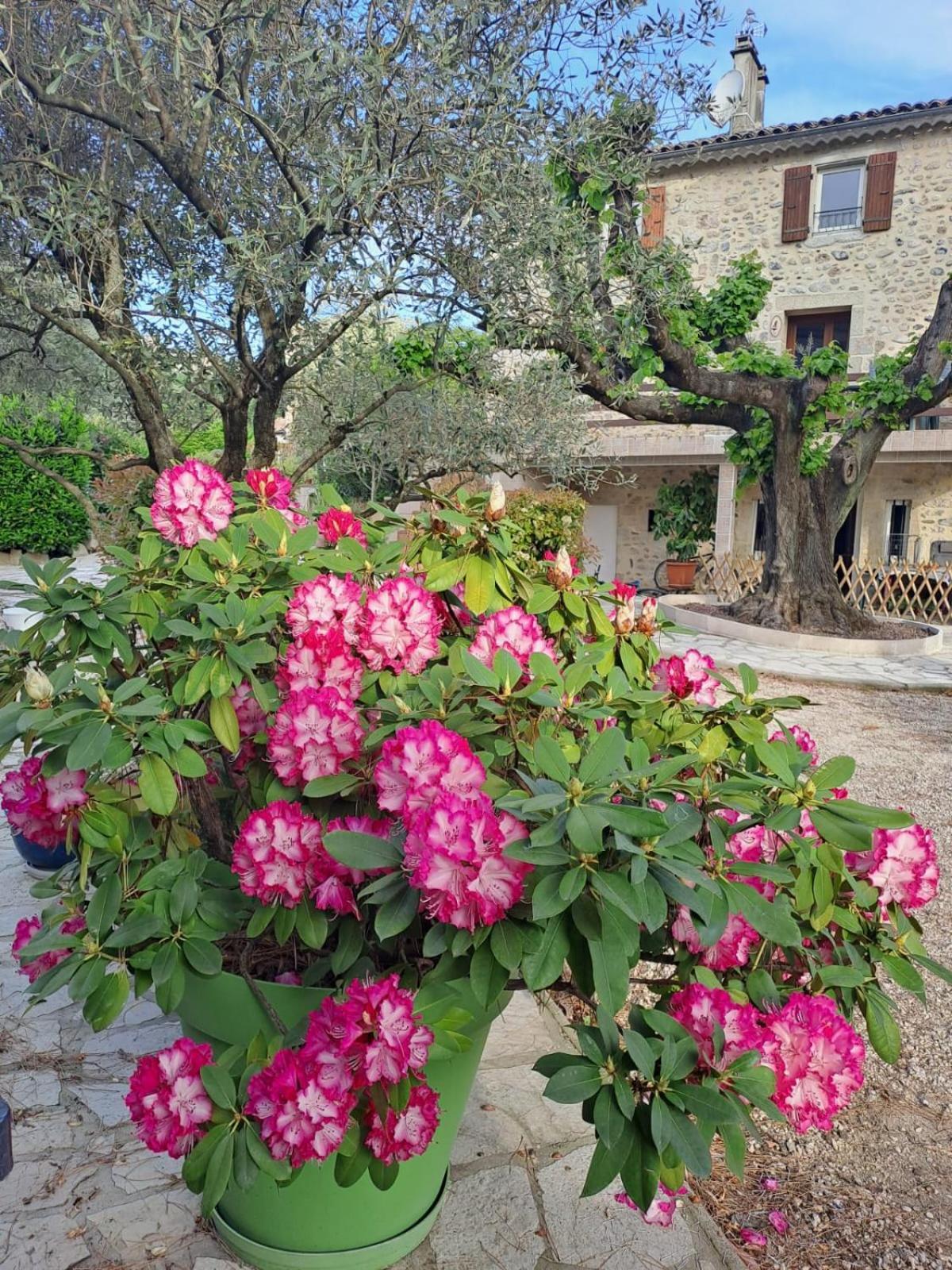 Gite 2 "Le Tilia " Aux Magnolias 3 Etoiles Ομπενά Εξωτερικό φωτογραφία